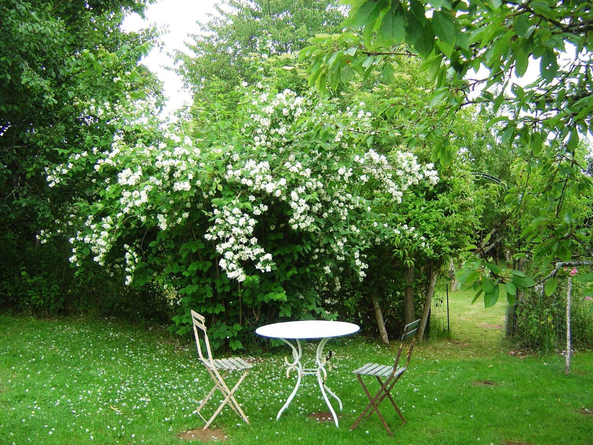 Bed and Breakfast Les Trois Chenes Videix Екстер'єр фото