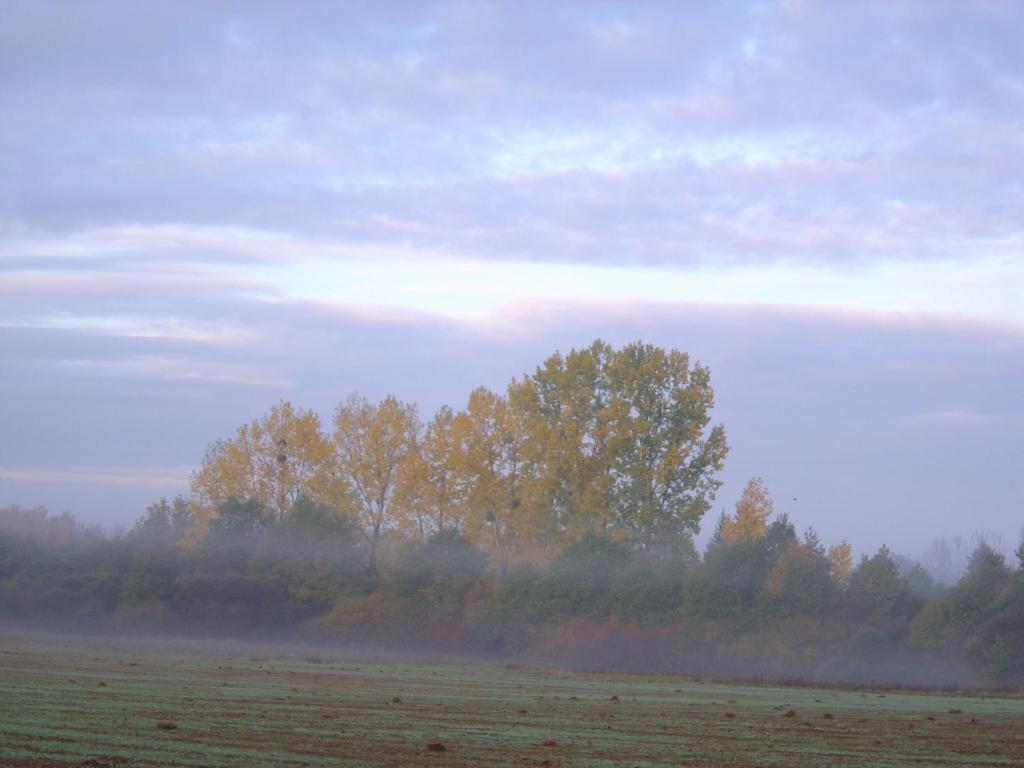 Bed and Breakfast Les Trois Chenes Videix Номер фото